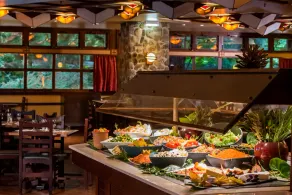 Disney Sequoia Lodge - Image 4