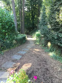 woodland cottage - Image 5