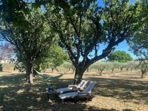 Taxa reduzida! Espaçoso refúgio de paz, com pátio e terraço perto de Uzès (St. Q) - Image 4
