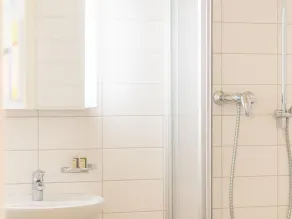 Apartment-Ensuite with Shower-Schloss Lichtenwalde - Image 4