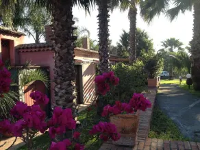 Villa del Nespolo - Image 5