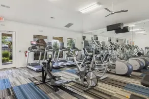 Bright and Spacious Apartments with Gym and Pool Access at Century Stone Hill North in Pflugerville, Austin - Image 2