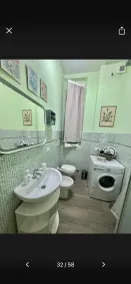 The House of Flowers - Image 4