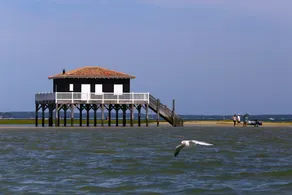Semesterhus i Arcachon - Image 2