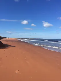 Nueva casa de playa de tres dormitorios en la hermosa playa. - Image 4