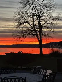 The Beach Loft on the North Shore of the Hood Canal. - Image 5