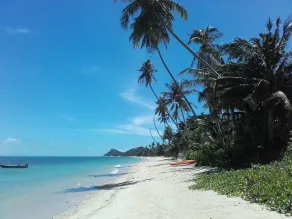 Coconut River Beach Ferienhaus - Image 4