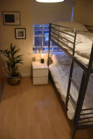 Scandinavian City Centre Apartment - Image 5