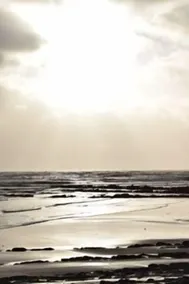 Affascinante e confortevole, casa di campagna a 10 minuti a piedi dal mare.  Molto popolare con l'uccello - Image 5