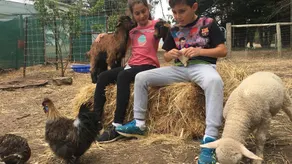 Morella Farm Stay - unik upplevelse på gårdsstil - Image 2