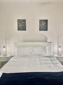 Luxury 1 BR 1 BA w/Pool, Gym & Parking - Image 4