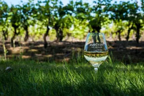 dépendance chaleureuse dans le vignoble nantais - Image 3