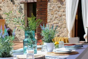 CASA ROVIRA (Magnificent rural house with jacuzzi in the garden and private pool) - Image 5