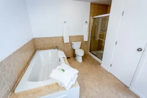11-Bedroom Mansion with an Seasonal Outdoor Pool open now plus 10.5 bathrooms - Image 3