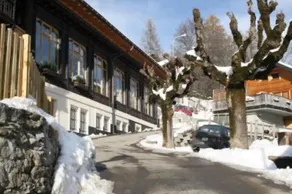 Gryon: rummelig og lys lejlighed i autentisk landsby - Image 5