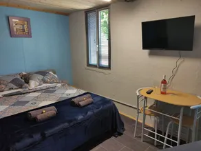 Comfortable, cosy studio apartment - Image 2