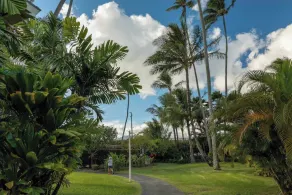New! Plantation Hale B13- Walk to Shops & Beaches. Free Wifi & Parking- AC! - Image 3
