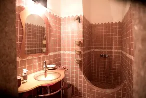 Riad Safir - Image 4