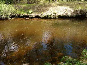 Serene Creek Frontage - Image 2