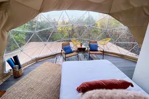 Vagary: Luxury Glamping in Treetop Dome + Dip Pool - Image 4