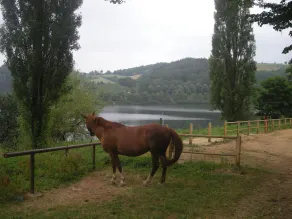 chalet by the lake, with large terrace - Image 4