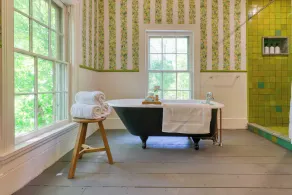 Relax in Style at Historic Modern on Main With Modern Amenities & Wooded Views - Image 4