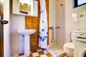 Spacious comfortable villa in traditional style - Image 5