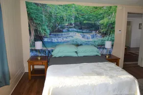 Sanctuary Woodland Guest House, located next to the conservation area! - Image 4