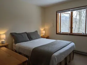 Kennedy Ridge Cabin--1BR, jacuzzi, kitchenette - Image 3