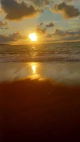 Ceiba Ganadito - Image 3