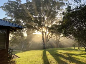 Karri Vista - peaceful setting with valley views - Image 5