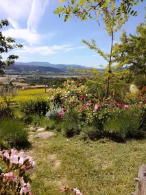 La Roseraie des Côtes Gite 4/5 lugares - Image 4