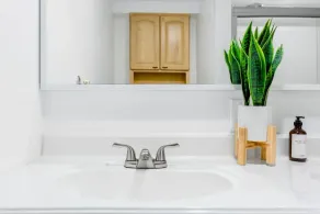547 Northgate · Cheerful 4b3b house in North Seattle/10 mins to UW - Image 5