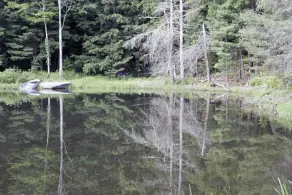 'A Place in the Woods' - Cabin på Chloes Lake på 20 acres tæt Woodstock, NY - Image 3