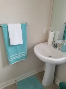 Fantastica fuga di Niagara Falls !!! - Image 4