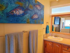 * 499 $ Special!* Oceanfront Private Oasis w / central AC - Turtle Point Beach House - Image 4