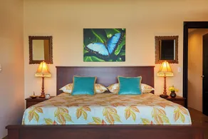 LOOK AT THIS VIEW and VILLA!\nHigh Elevation/180 Degree Beach/Ocean/Jungle  View - Image 5