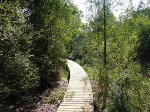 Limetree Hideaway at Dunns Creek Estate - Image 5