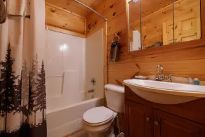 Quiet One-Level Cabin, Hot Tub, Fire Pit, WiFi, Parkway Close - Image 5