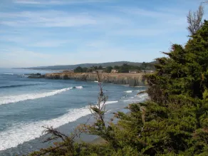 Hundevenlig, afsondret Redwoods Getaway med privat boblebad - Image 2