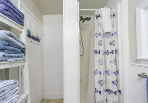 Blue Ocean ~ Pet Friendly ~ One house off the Beach! - Image 3
