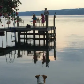 Familie Cottage Get-væk i hjertet af Seneca Lake Wine Country - Kæledyr tilladt - Image 2
