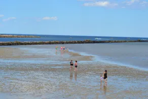 Schritte zum Hills Beach, Saco River, UNE in der Nähe von Old Orchard Kennebunkport - Image 5