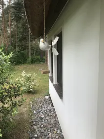 Freistehendes Ferienhaus auf 2100qm Waldgrundtück 100m vom Strand - Image 5