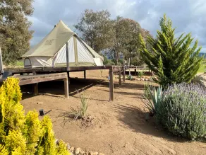 Cosmo Glamping - Image 4