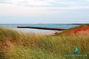 Condo| Waterfront Escape | Ocean Views | North Rustico - Image 5
