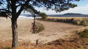 Driftwood Oceanfront Cottage at Popham Beach  Spectacular views from every room - Image 4