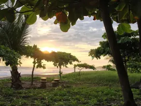 Casa Alice Surf Lodge - Image 3