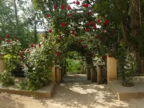 Torre de Campos cottage for 2 people - Image 4