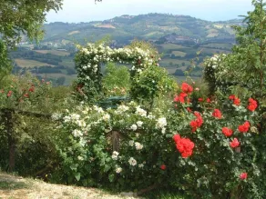ROMANTIC 17C VILLA -Fabulous VIEWS-Stunning POOL Complex.HOT TUB.PIZZA OVEN.A/C - Image 5
